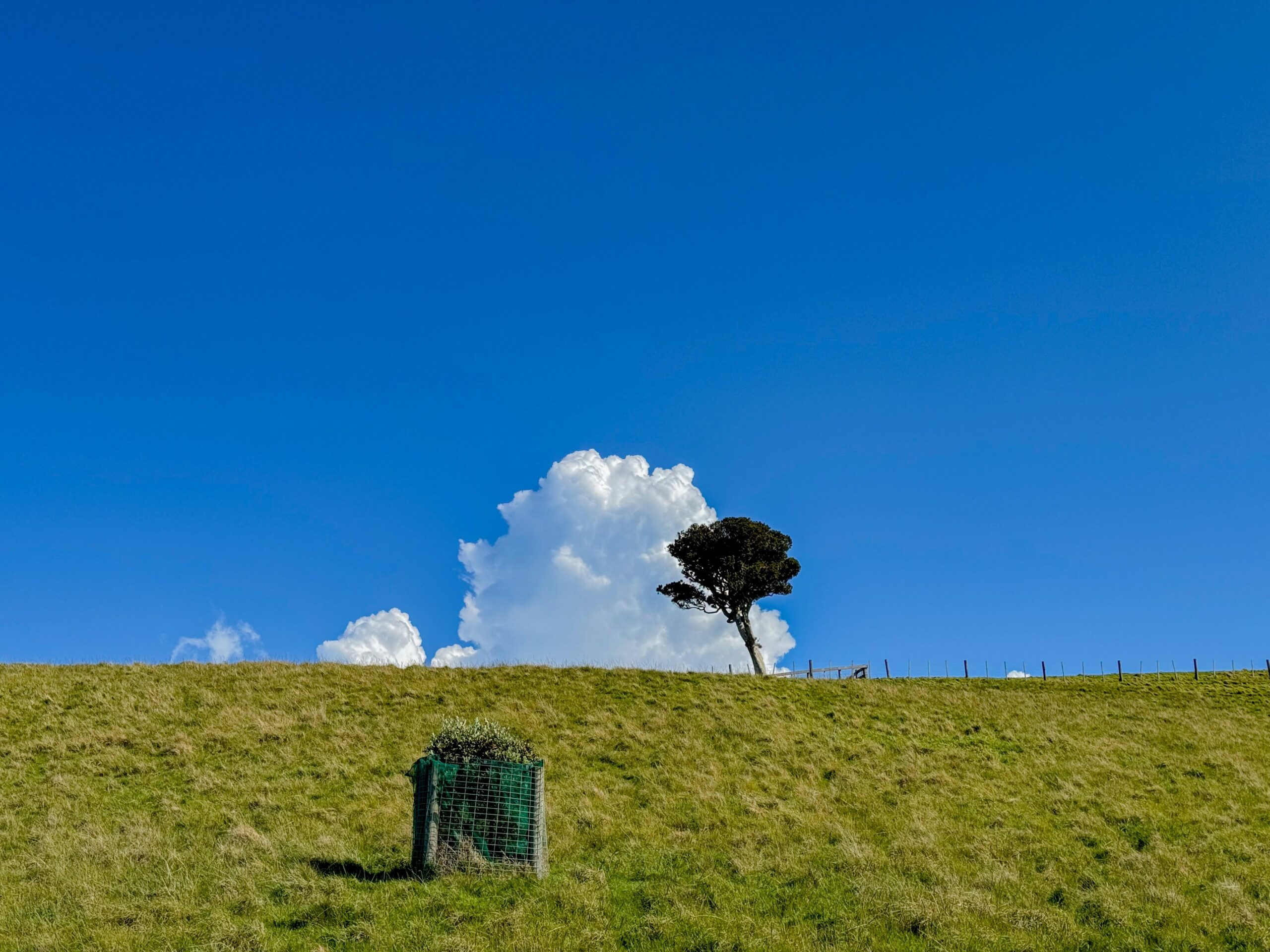 A motivational quote overlayed on serene landscape: 'Stay Prepared, Stay Free'