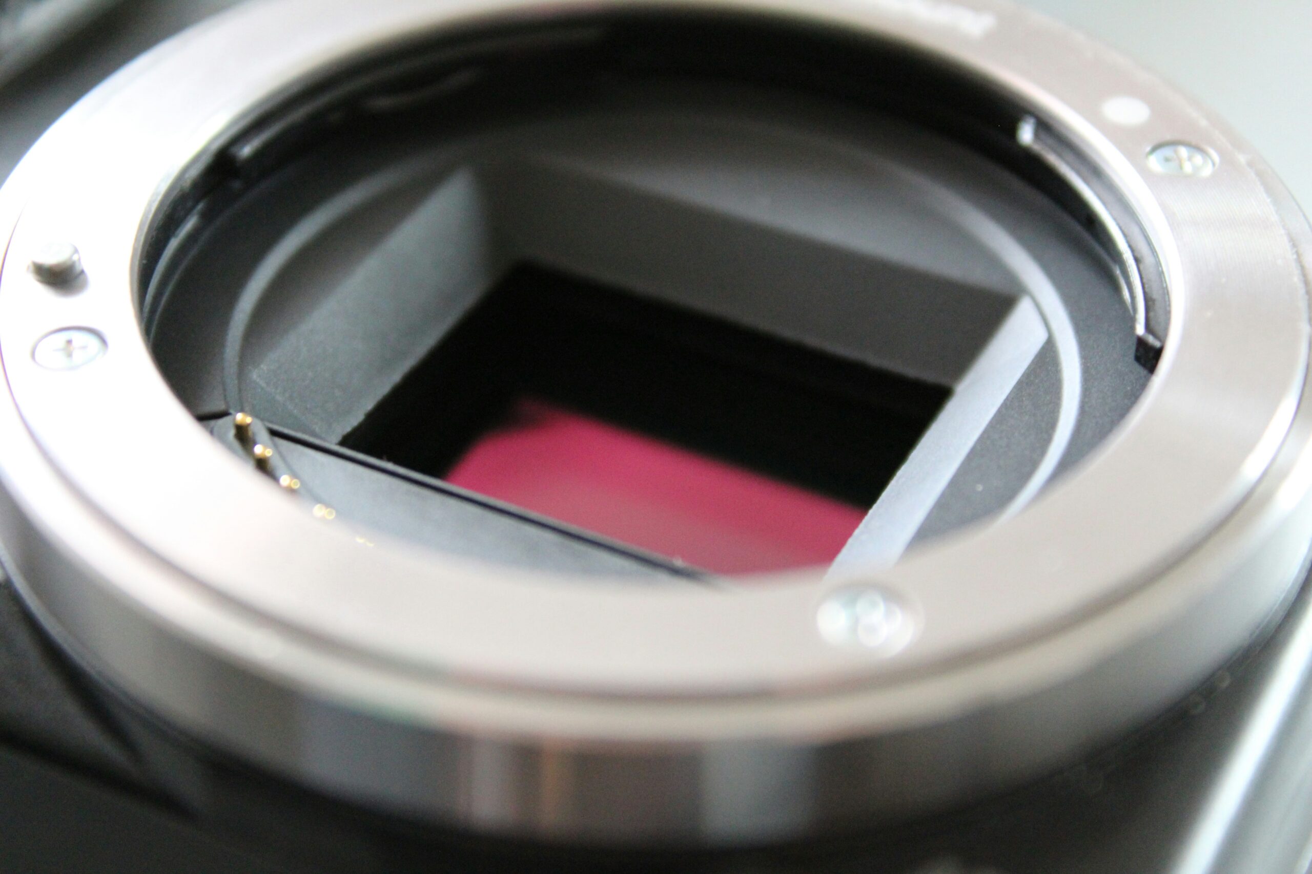 Close-up image of fine print being examined under a magnifying glass