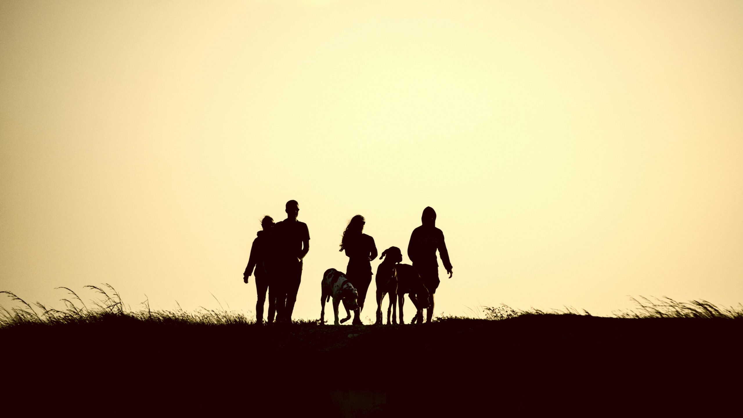 Comparison table highlighting key features of top repatriation insurance policies