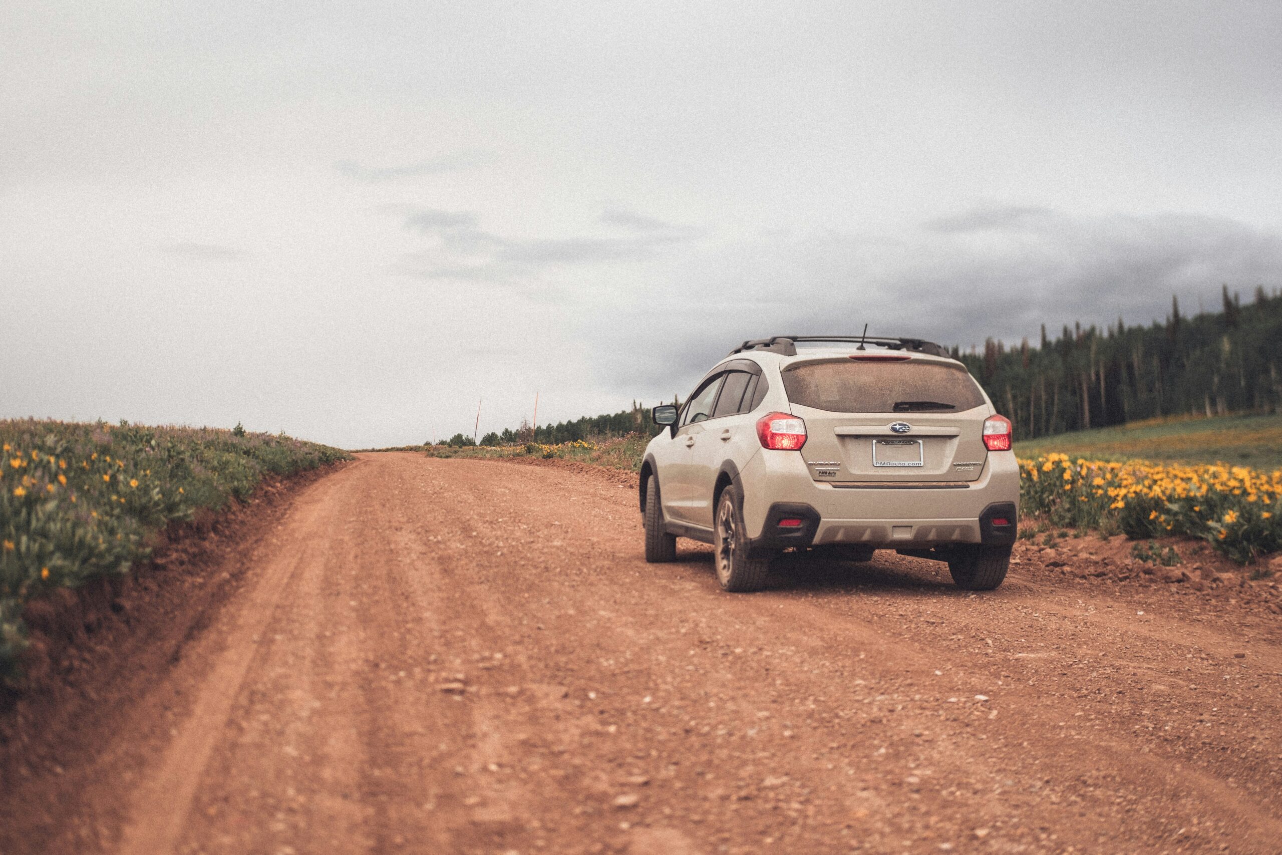 Person stranded on road with flat tire