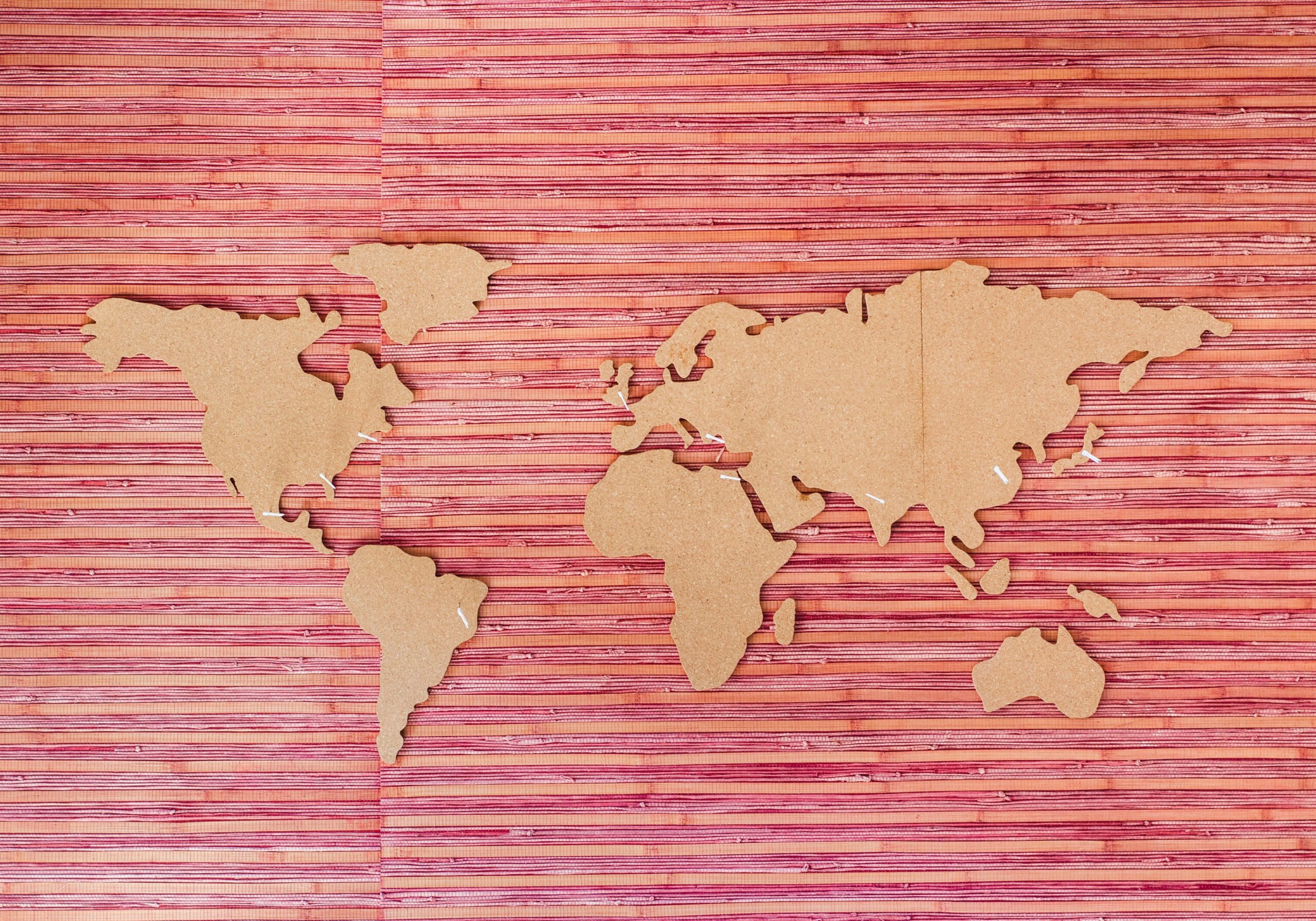The Overseas Repatriation Process: A Guide to Repatriation Insurance Success